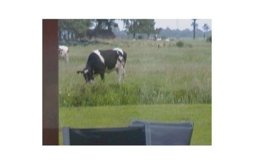 Holiday home in Kudensee with swimming pool - Foto 33