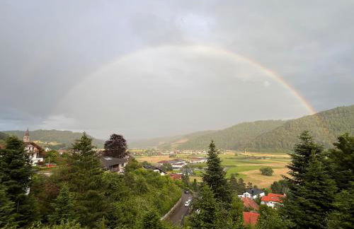 Graceland In the Black Forest - Foto 87