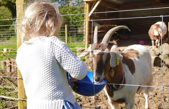 1 Bed 17th Century Stone Cottage in Rural Devon - Foto 32