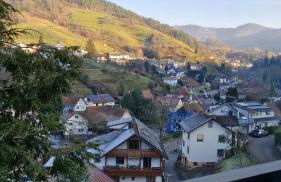 Haus Schwarzwald Königin - Foto 63