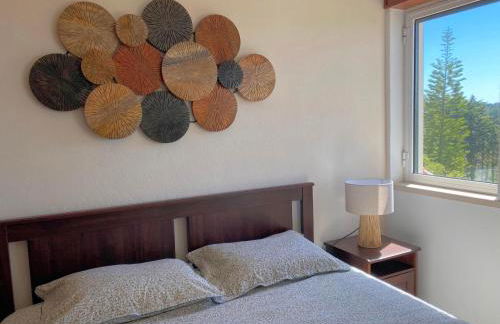 Quinta Vale da Paz - Foto 14