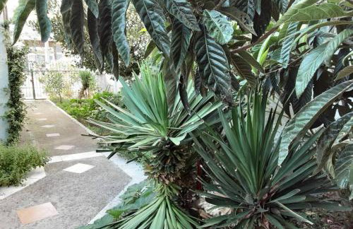 john actors home - Foto 20