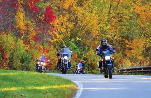 Biker-Friendly Cabin, Pets Welcome, Near River - Foto 1