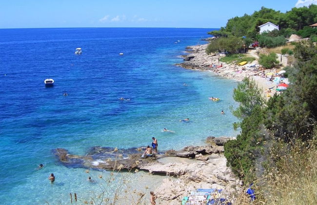 Dino - Gorgeous Garden - SA1 Zavala - Photo 20