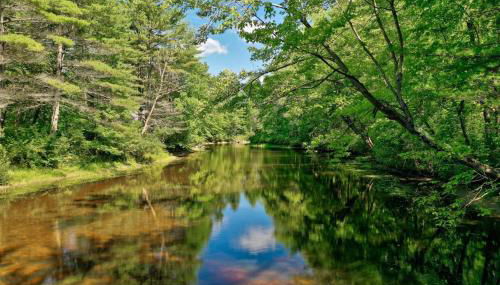 CROOKED RIVER COTTAGE LIMIT 5 cottage - Foto 5