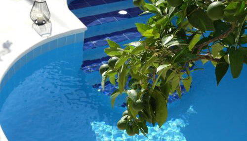 Villa Rose - Photo 1