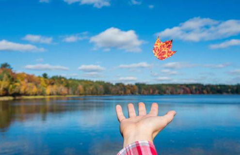 Porch in the Pines in Eagle River WI - Photo 35