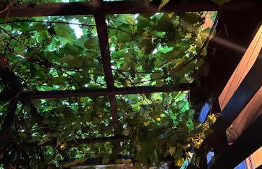 Domek nad jeziorem - Foto 27