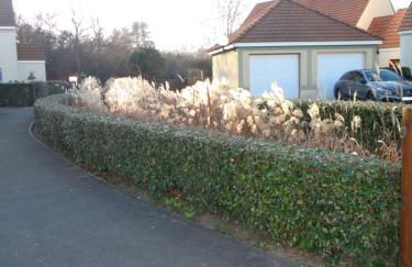 Villa Sérena la forêt et la plage à quelques minutes! - Foto 55