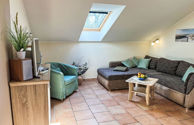 Zaunkönig - Foto 24