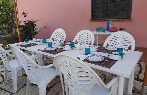 L'Albero degli Struzzi - Foto 11