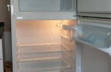 Dresden Großer Garten - Foto 21