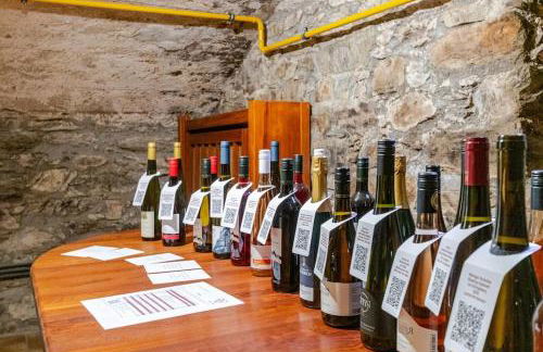 Townhaus-Rhens 8 Schlafzimmer, Sauna, Weinkeller, Fotostudio, Hunde willkommen - Foto 70