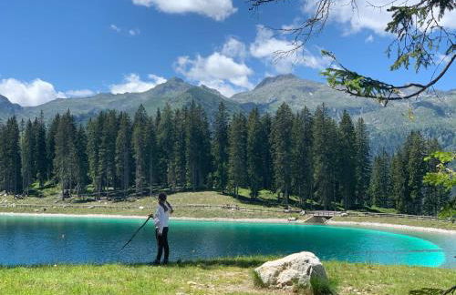 Des Alpes C Flat 11 - Foto 49