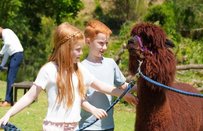 Lamington National Park, O’Reilly’s Rainforest und Canungra Valley Vineyard – Tagestour - Foto 8