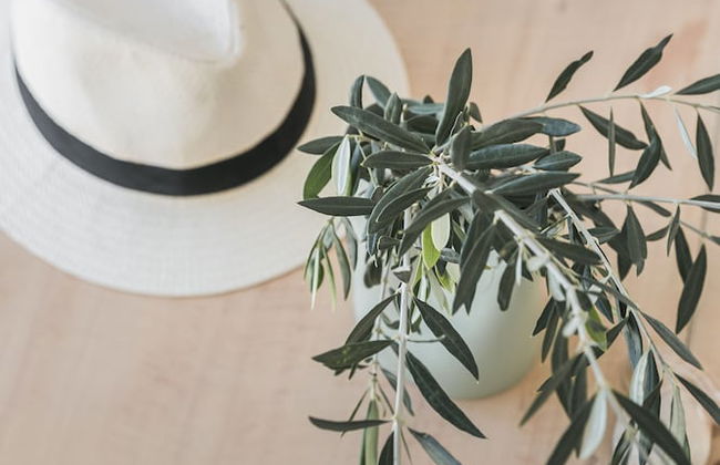 Apollonides Seafront Villa 1 “Aoede” - Photo 17