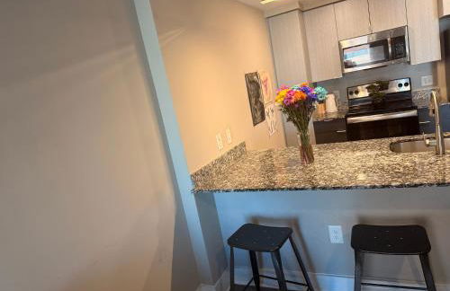 Lux High Rise one stop 2 bedroom private Share kitchen Professional Respected apartment - Foto 35