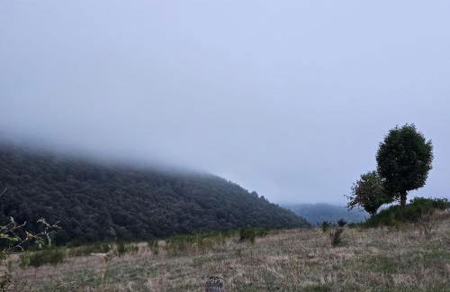 Le Saint-Jean - Foto 23