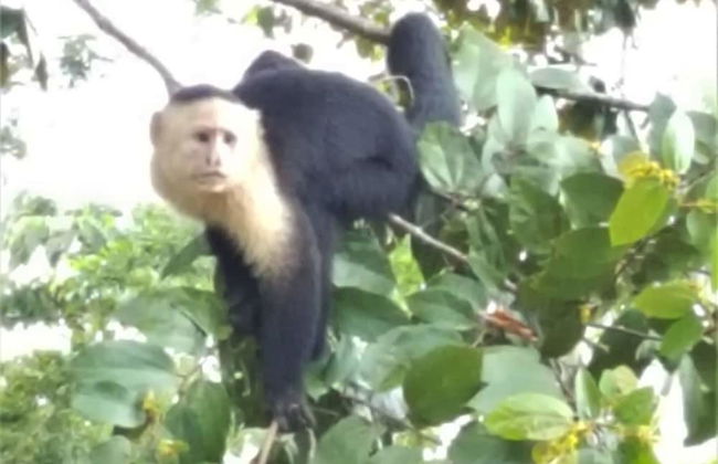 Villas Octogoña - Foto 33