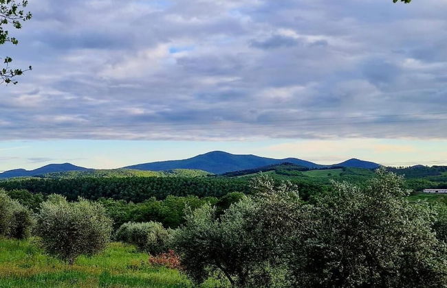 Poggio La Buca - Agriturismo - Foto 37