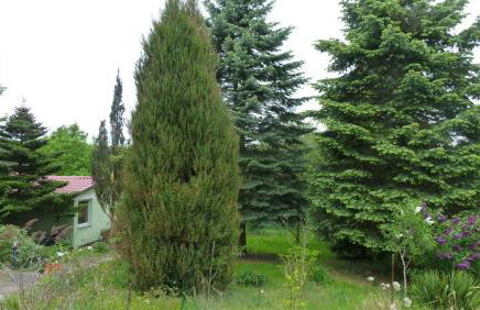 Bungalow am Küstrinsee bei Lychen - Photo 7