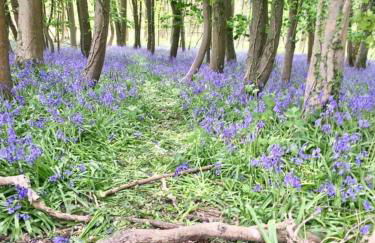Holly Cottage, Hidden gem in the Yorkshire wolds - Foto 56