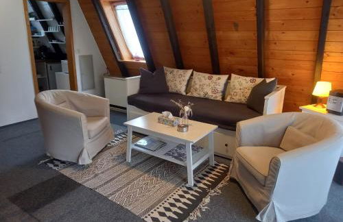 Gemütliches Ferienhaus mit sonniger Terrasse Frankenwald nähe Badesee Smart-TV - Foto 7