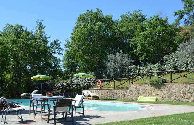 A spasso tra gli ulivi - Foto 36