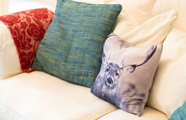 Red Squirrel Cottage Pet Friendly Family Adventure Retreat in Aberdeenshire - Photo 48