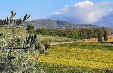 Agriturismo Circugnano - Foto 9