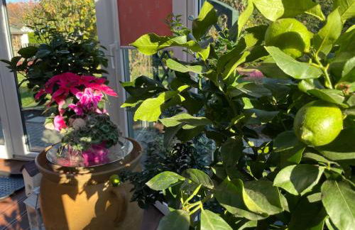 Ferienhaus Seenliebe - Foto 27