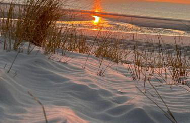 Langeoog-Villa Apollonia - Foto 15