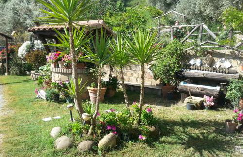 L'Uliveto - Foto 153