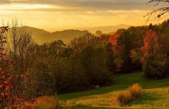 Apartment in the Bavarian Forest - Foto 38