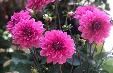 Cycladic Luxury Maisonette - Foto 56