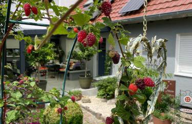 Ferien- und Monteurswohnung Heilbrunnen - Foto 17