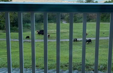 Luxury Oceanview Estate - Photo 49