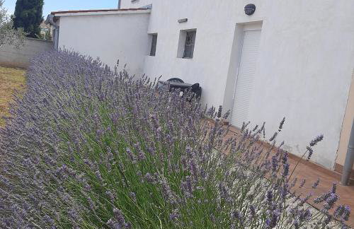 Apartments Kaić 1045 - Photo 54