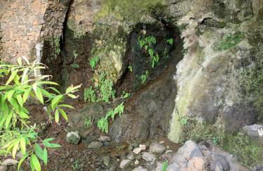 Apartamento Renovado "Hogar Las Vistas" - Foto 38