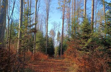 Sanriver Apartamenty - Foto 16