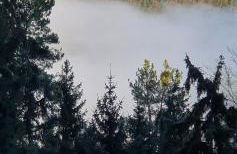 Ferienhaus Korn am Bärensteig - Foto 23