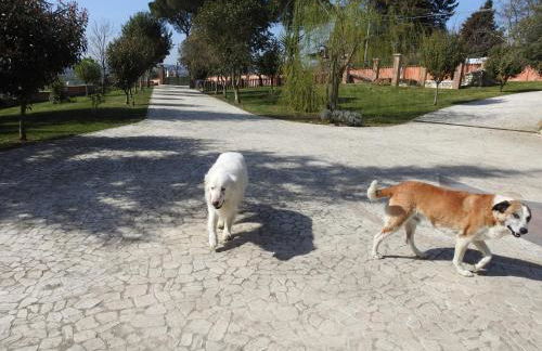 Alloggio Turistico Confortevole Passo Corese - Foto 17