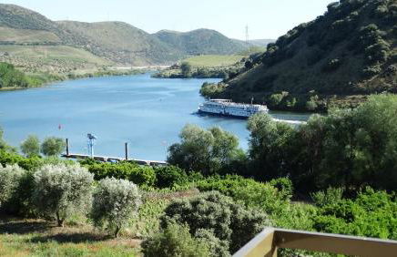 Olhares do Douro - Foto 30