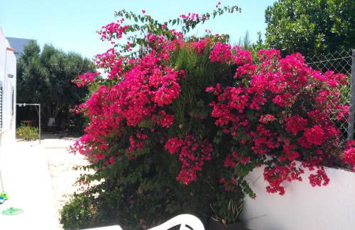 Casa Susana - Foto 36