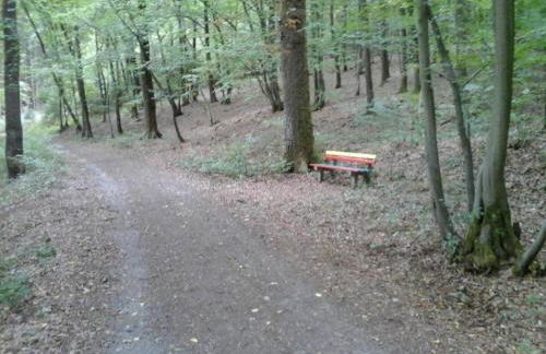 Regal Apartment in Pracht With Garden and Grill - Foto 76