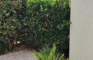 La Catalane - Les Jardins du Rivage - wifi- piscine - Foto 25