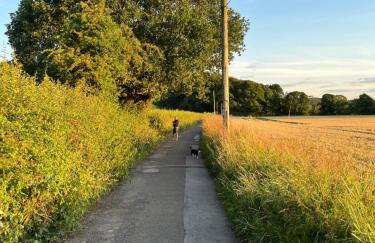 Unbox at Poplar Tree - Photo 44