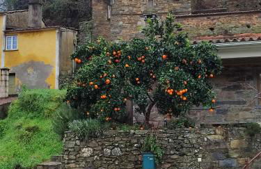 Casa Iris Cunqueiros - Foto 80