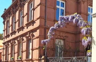 Haus Mittendrin - Foto 39