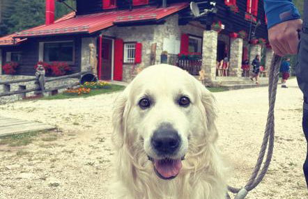 Casetta del Caregon a Vinigo - Photo 27